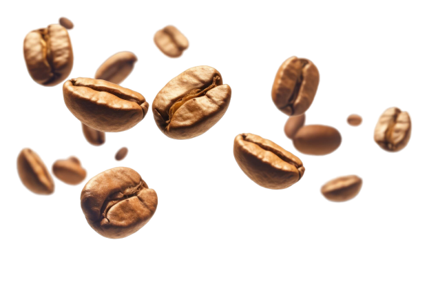Coffee beans in brown and gold colors